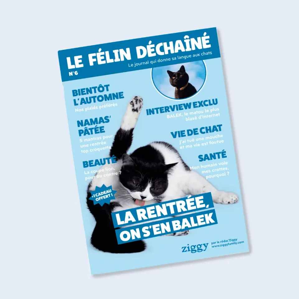 Ziggy Le Félin Déchaîné kattenmagazine nummer 6 Frans