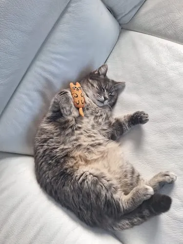 Ziggy Mascot kattenspeeltje catnip katoen