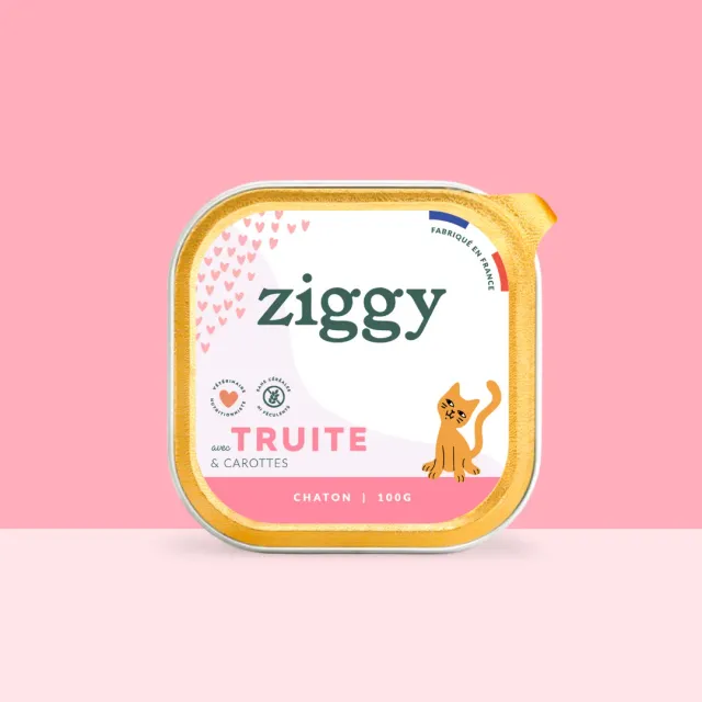 Ziggy Kitten Forel natvoer 4 x 100 g graanvrij