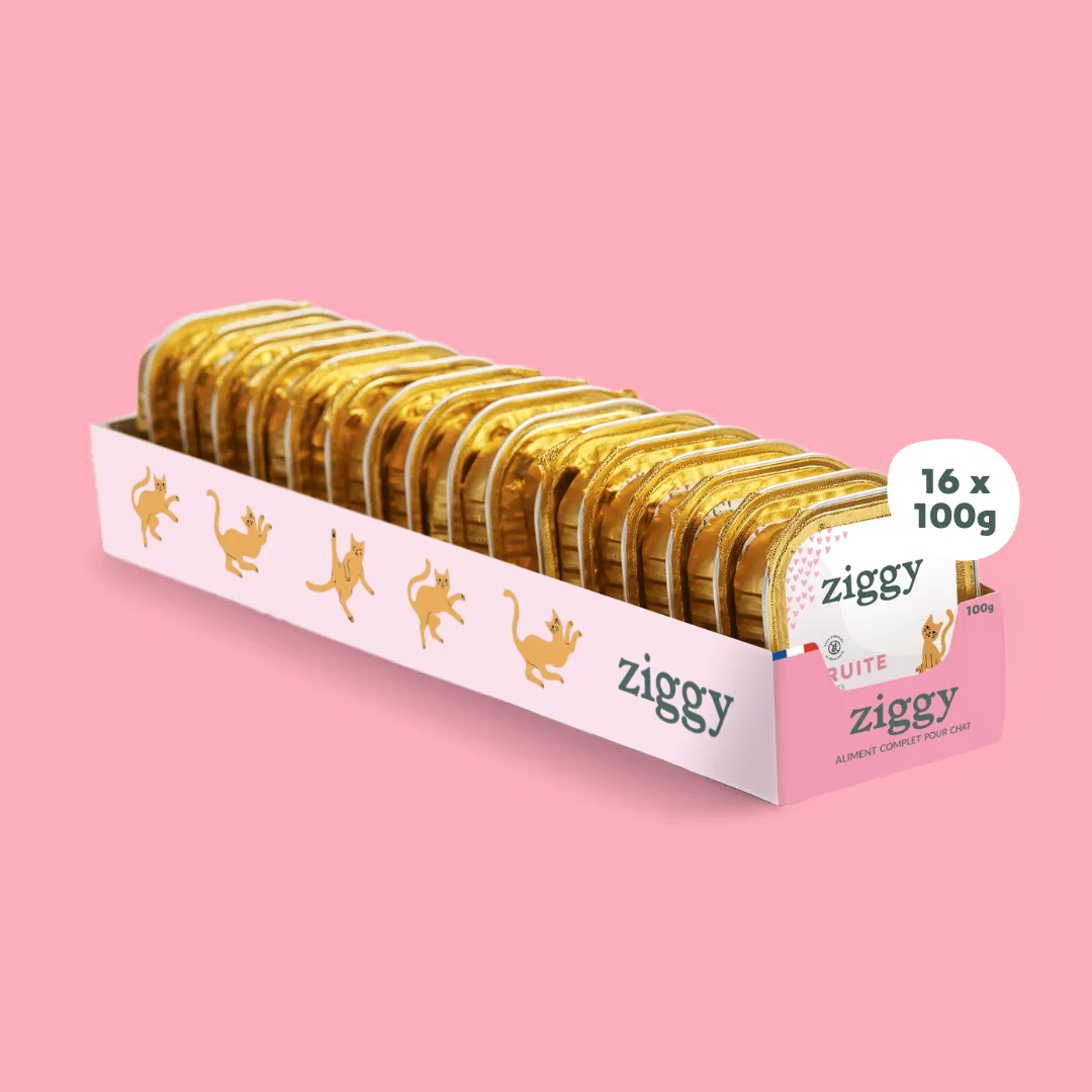 Ziggy Kitten Forel natvoer 4 x 100 g graanvrij