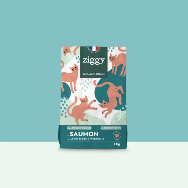 Ziggy brokken zalm 1 kg graanarm eiwitrijk