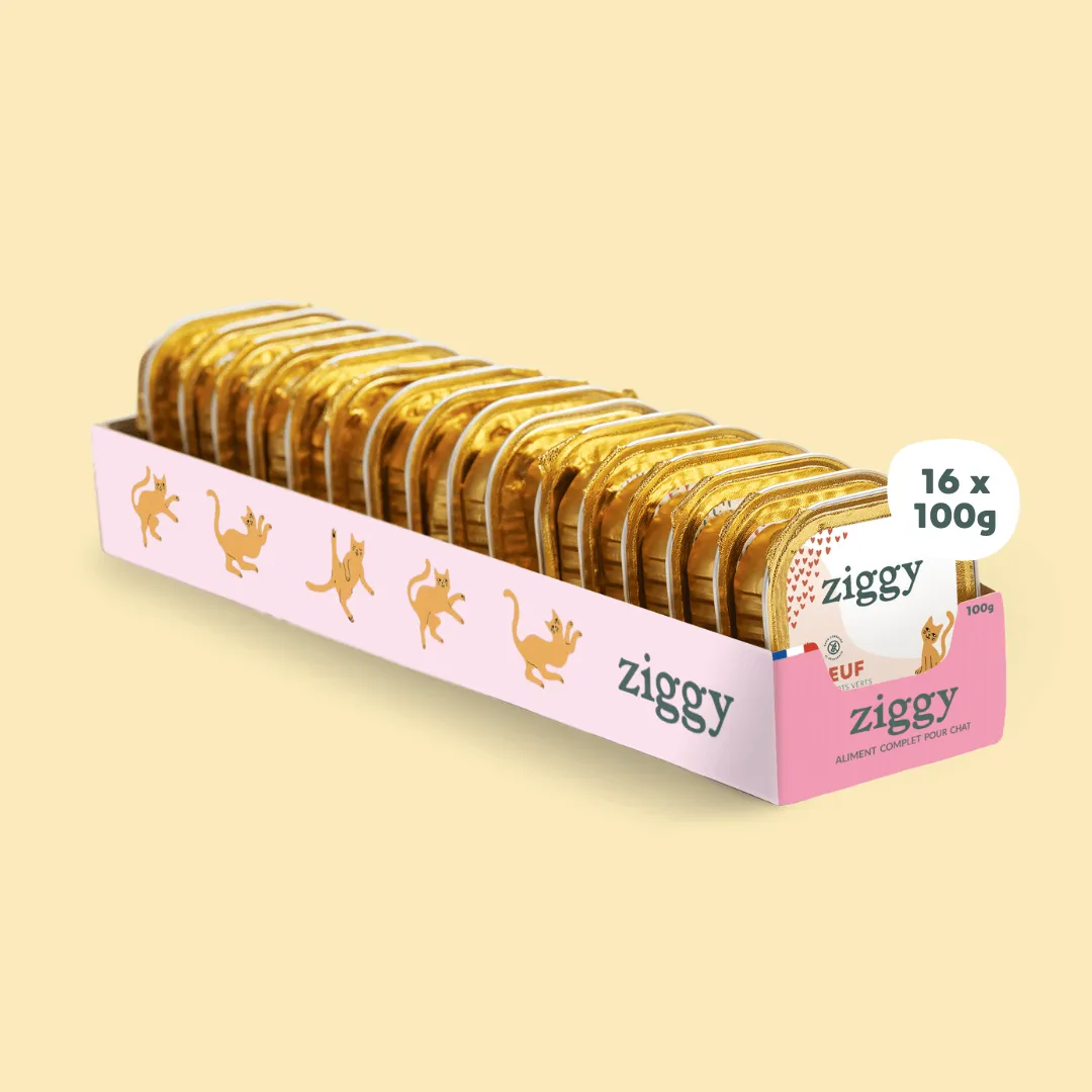 Ziggy kitten natvoer rund graanvrij 4x100g eiwitrijk