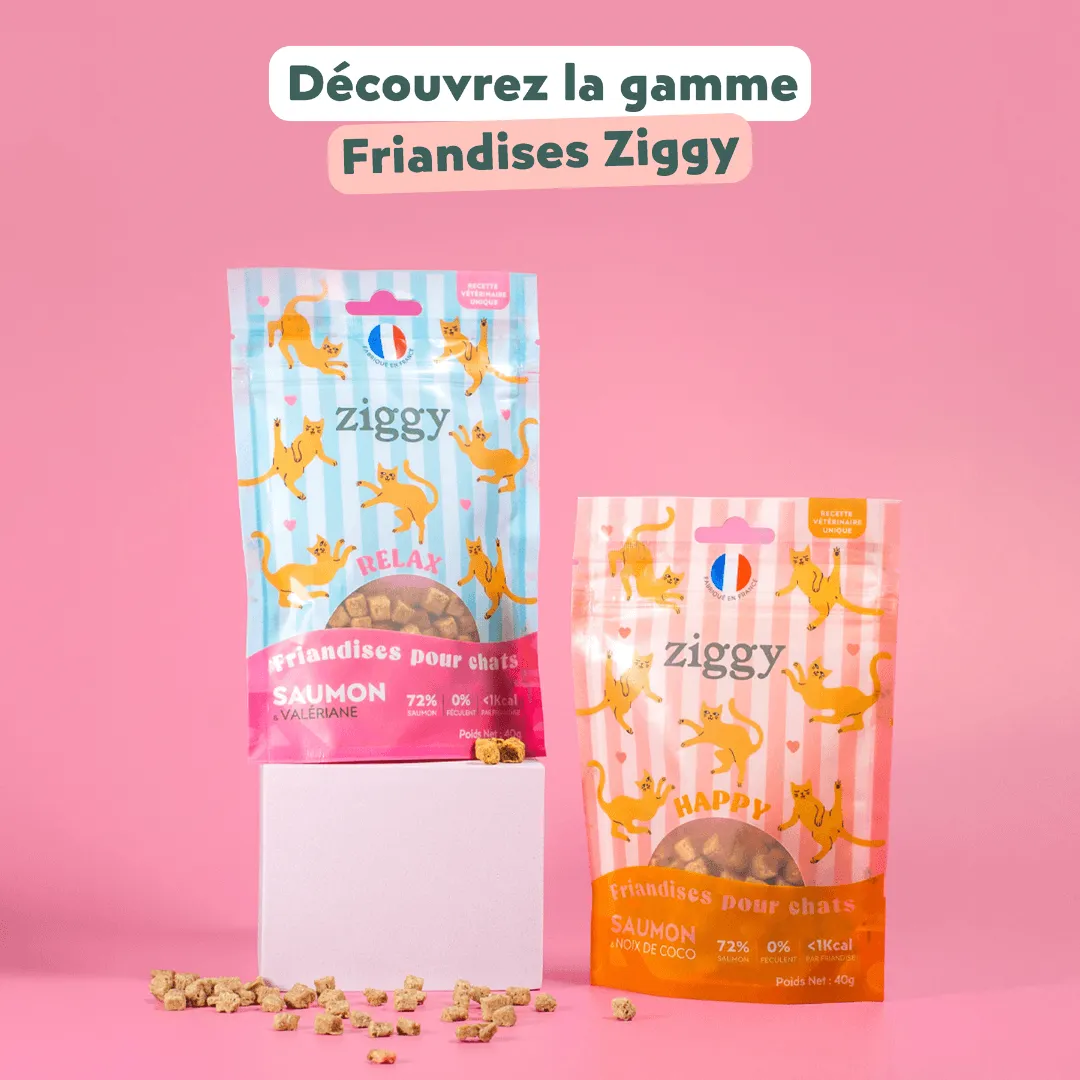 Ziggy Happy Cat Treats kattensnoepjes met zalm 40g graanvrij